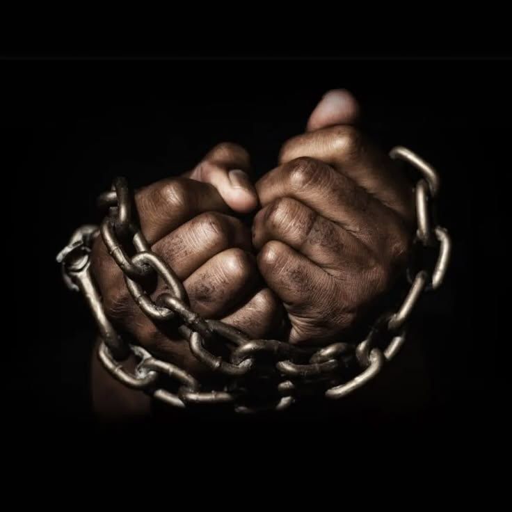 whatsapp image 2026 04 10 at 04.11.32