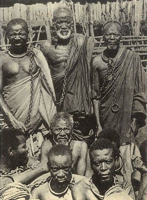 whatsapp image 2026 04 10 at 04.11.34