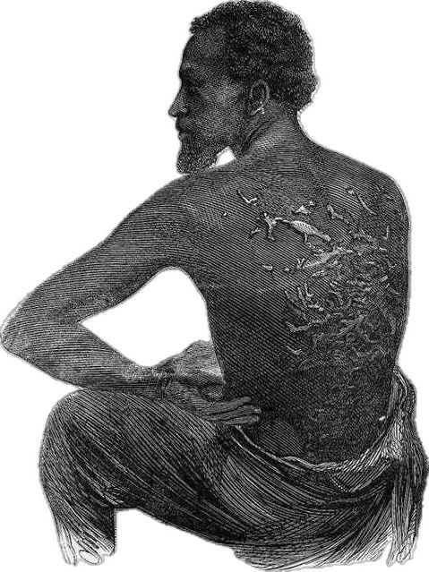 whatsapp image 2026 04 11 at 17.52.43